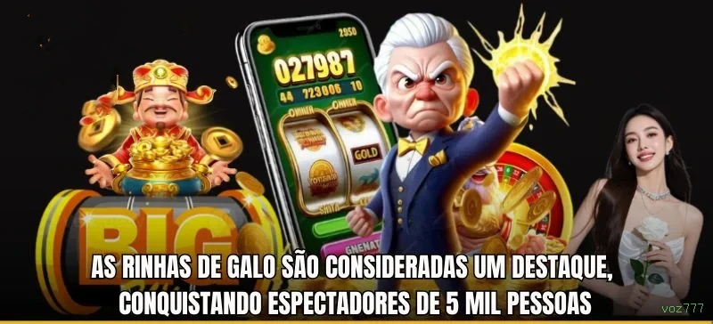 Segurança Depósitos voz777